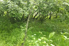 Land For Sale, Agricultural, Dudaurebi 