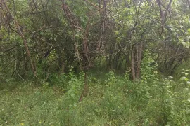 Land For Sale, Agricultural, Dudaurebi 