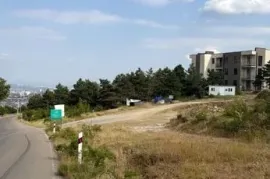 Land For Sale, Non Agricultural, Lisi lake