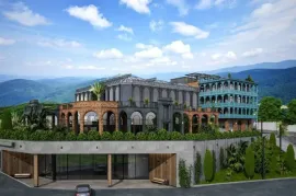 Land For Sale, Non Agricultural, Lisi lake