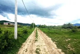 იყიდება მიწის ნაკვეთი, სასოფლო - სამეურნეო, ბიწმენდი