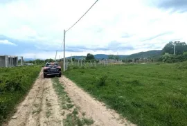 იყიდება მიწის ნაკვეთი, სასოფლო - სამეურნეო, ბიწმენდი