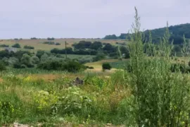 იყიდება მიწის ნაკვეთი, სასოფლო - სამეურნეო, გორანა 
