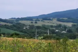 იყიდება მიწის ნაკვეთი, სასოფლო - სამეურნეო, გორანა 