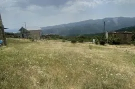 იყიდება მიწის ნაკვეთი, სასოფლო - სამეურნეო, ნაფეტვრები