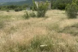 იყიდება მიწის ნაკვეთი, სასოფლო - სამეურნეო, ნაფეტვრები