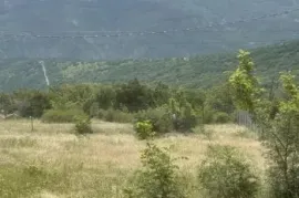 იყიდება მიწის ნაკვეთი, სასოფლო - სამეურნეო, ნაფეტვრები