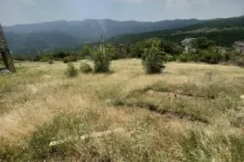 იყიდება მიწის ნაკვეთი, სასოფლო - სამეურნეო, ნაფეტვრები