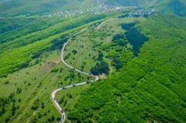 იყიდება მიწის ნაკვეთი, სასოფლო - სამეურნეო, ნაფეტვრები