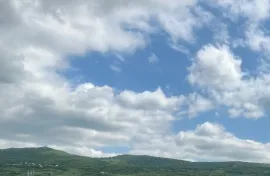 იყიდება მიწის ნაკვეთი, საინვესტიციო, წეროვანი
