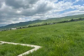 იყიდება მიწის ნაკვეთი, საინვესტიციო, წეროვანი