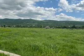 იყიდება მიწის ნაკვეთი, საინვესტიციო, წეროვანი