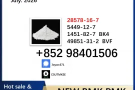Hot selling 5449-12-7 BMK 28578-16-7 PMK oil powder chemical material