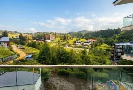 Apartment for sale, 2 Room, New building, Borjomi , Bakuriani