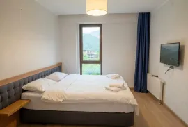 Apartment for sale, 2 Room, New building, Borjomi , Bakuriani
