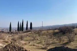 Land For Sale, Agricultural, Tsnori