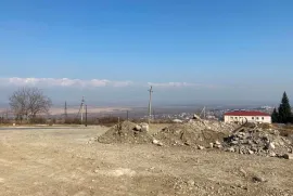 Land For Sale, Agricultural, Tsnori