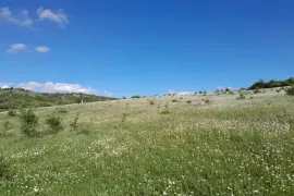 იყიდება მიწის ნაკვეთი, სასოფლო - სამეურნეო, ახალდაბა