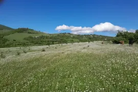 იყიდება მიწის ნაკვეთი, სასოფლო - სამეურნეო, ახალდაბა