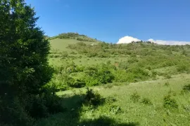 იყიდება მიწის ნაკვეთი, სასოფლო - სამეურნეო, ახალდაბა