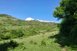 იყიდება მიწის ნაკვეთი, სასოფლო - სამეურნეო, ახალდაბა