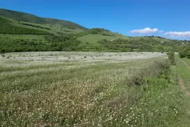იყიდება მიწის ნაკვეთი, სასოფლო - სამეურნეო, ახალდაბა