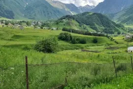 Land For Sale, Agricultural, Goriscikhe