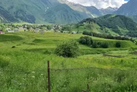 Land For Sale, Agricultural, Goriscikhe