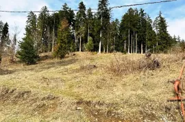 Land For Sale, Non Agricultural, Bakuriani