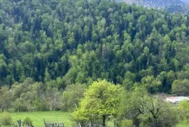 Land For Sale, Agricultural, Timotesubani