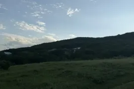 იყიდება მიწის ნაკვეთი, სასოფლო - სამეურნეო, დიდგორი