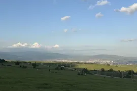 იყიდება მიწის ნაკვეთი, სასოფლო - სამეურნეო, დიდგორი