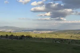 იყიდება მიწის ნაკვეთი, სასოფლო - სამეურნეო, დიდგორი