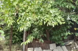 იყიდება მიწის ნაკვეთი, საინვესტიციო, საბურთალო