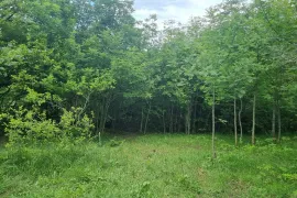 იყიდება მიწის ნაკვეთი, კვესეთი
