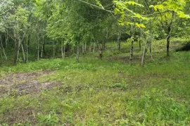 იყიდება მიწის ნაკვეთი, კვესეთი