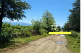 იყიდება მიწის ნაკვეთი, ნატანები
