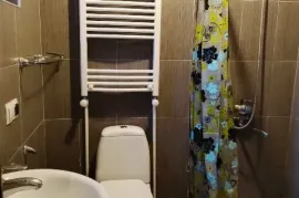 Daily Apartment Rent, 2 Room, Old building, Borjomi , Borjomi