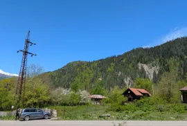 იყიდება მიწის ნაკვეთი, სასოფლო - სამეურნეო, გლოლა