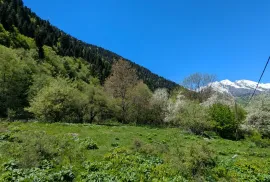 იყიდება მიწის ნაკვეთი, სასოფლო - სამეურნეო, გლოლა