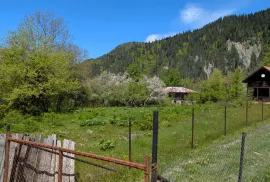იყიდება მიწის ნაკვეთი, სასოფლო - სამეურნეო, გლოლა