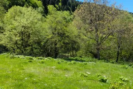იყიდება მიწის ნაკვეთი, სასოფლო - სამეურნეო, გლოლა