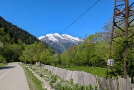 იყიდება მიწის ნაკვეთი, სასოფლო - სამეურნეო, გლოლა