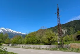 იყიდება მიწის ნაკვეთი, სასოფლო - სამეურნეო, გლოლა