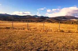 იყიდება მიწის ნაკვეთი, სასოფლო - სამეურნეო, ქვემო ნიჩბისი