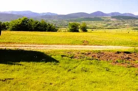 იყიდება მიწის ნაკვეთი, სასოფლო - სამეურნეო, ქვემო ნიჩბისი