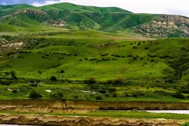 იყიდება მიწის ნაკვეთი, სასოფლო - სამეურნეო, ქვემო ნიჩბისი