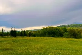 იყიდება მიწის ნაკვეთი, სასოფლო - სამეურნეო, ქვემო ნიჩბისი