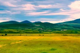 იყიდება მიწის ნაკვეთი, სასოფლო - სამეურნეო, ქვემო ნიჩბისი