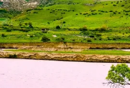 იყიდება მიწის ნაკვეთი, სასოფლო - სამეურნეო, ქვემო ნიჩბისი